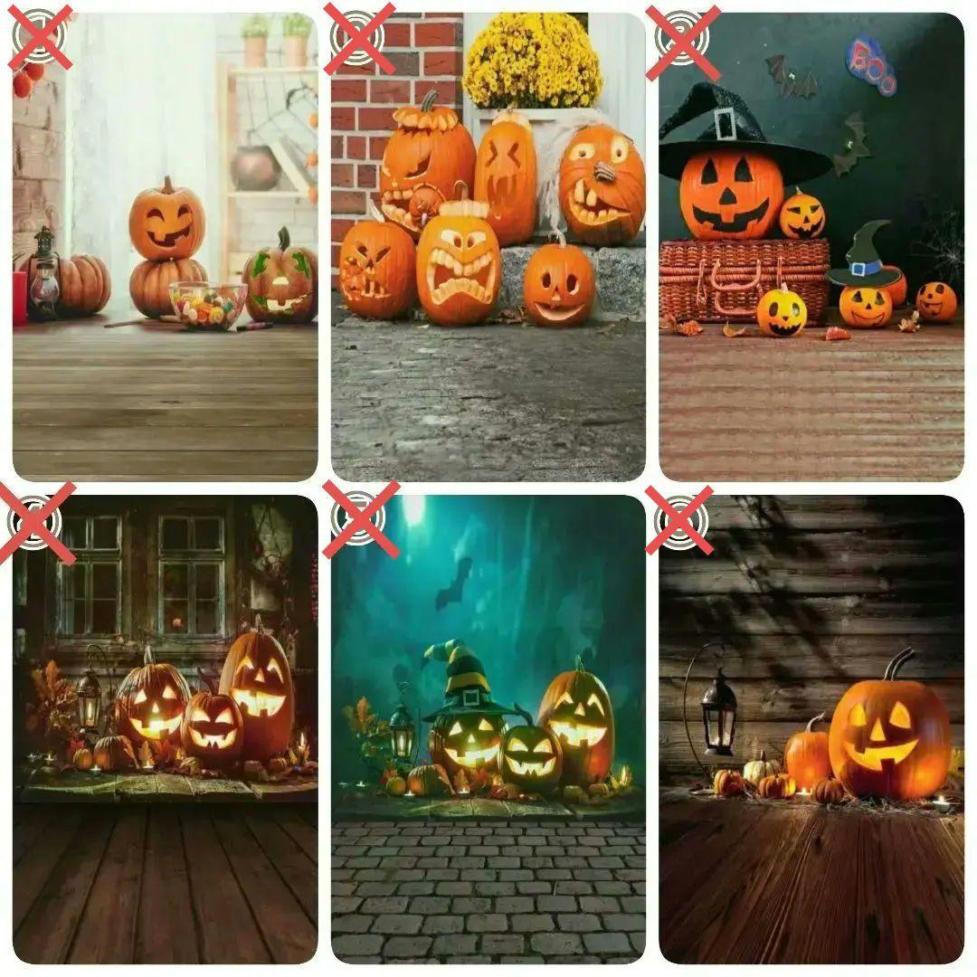 背景布　【　ハロウィンE　】　サンプル　パーティー、ペット撮影用　タペストリー
