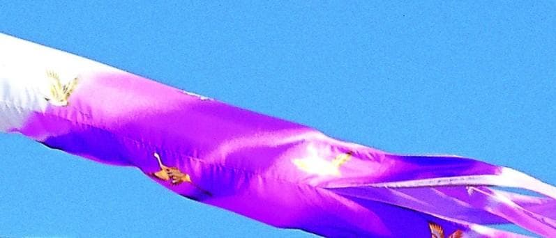 3m吹流し　単品　金箔翔鶴吹流　鯉のぼりの一番上につける吹流し単品です　新品