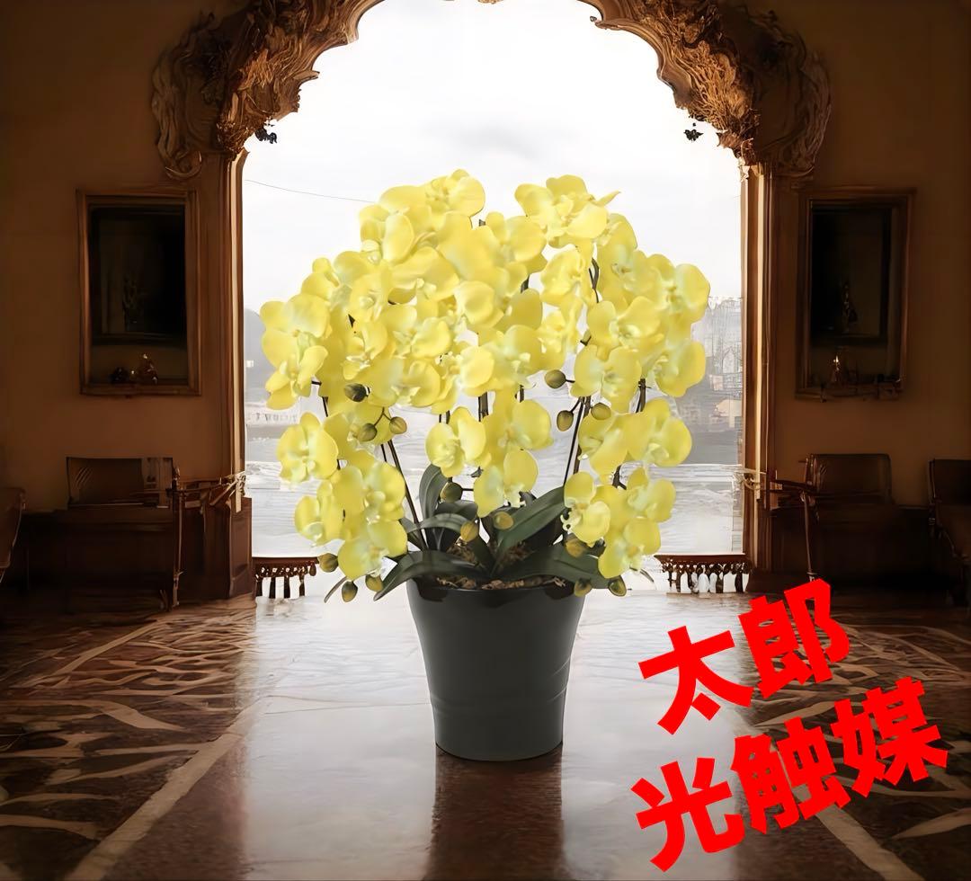光触媒　人工観葉植物　ウォールグリーン　フェイクグリーン　クイーン胡蝶蘭5本立Y
