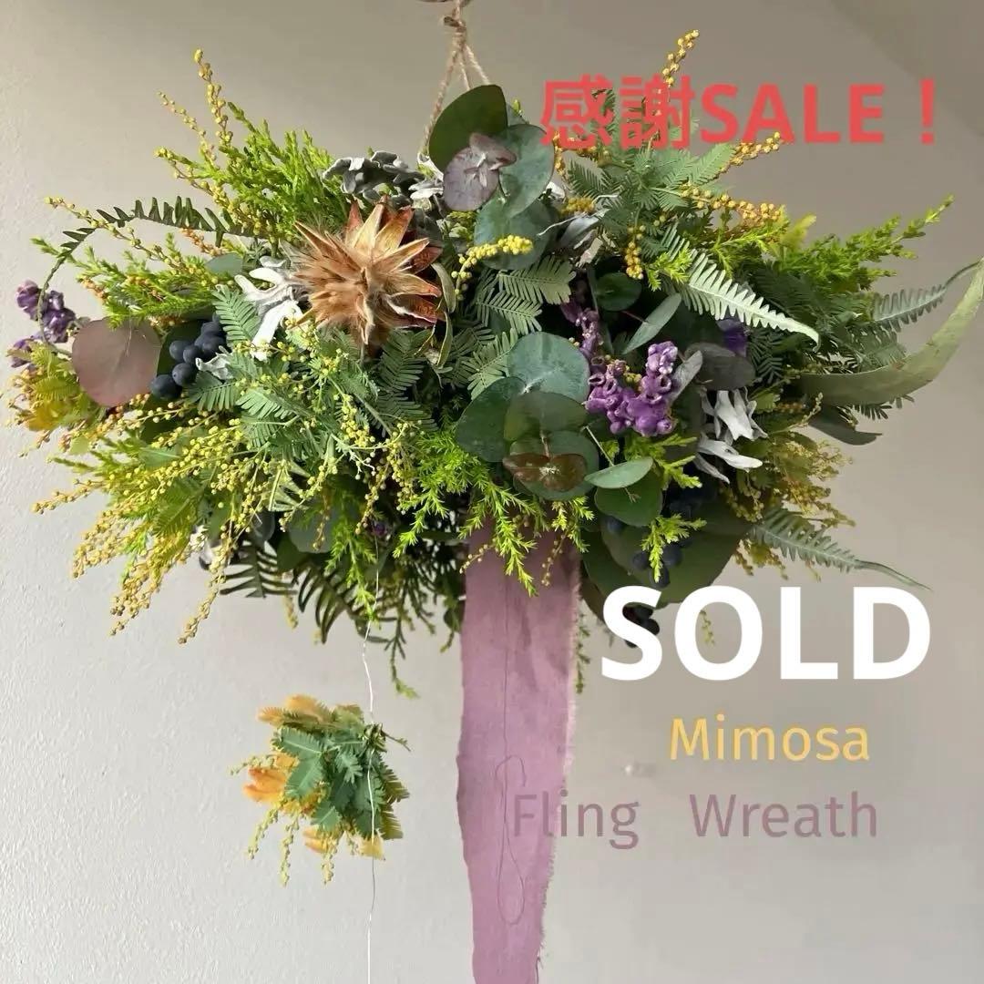 感謝SALE!オーレアミモザとプルモサムのフライングリース　ビオラ