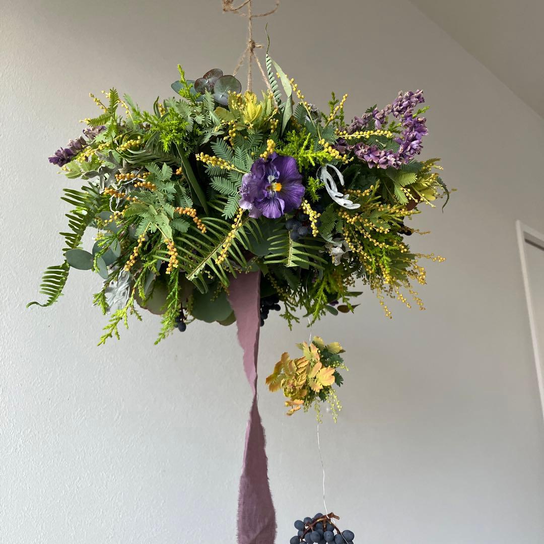 感謝SALE!オーレアミモザとプルモサムのフライングリース　ビオラ