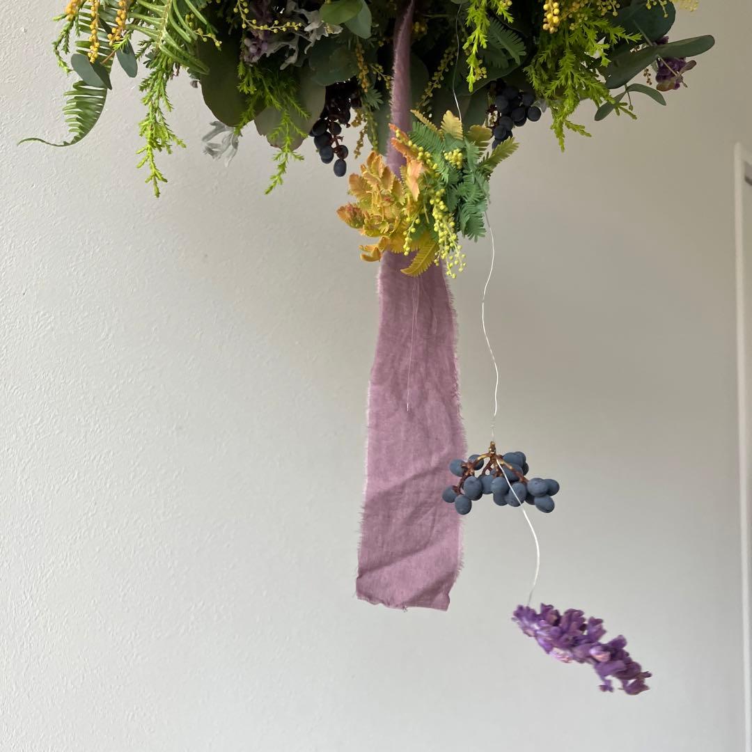 感謝SALE!オーレアミモザとプルモサムのフライングリース　ビオラ