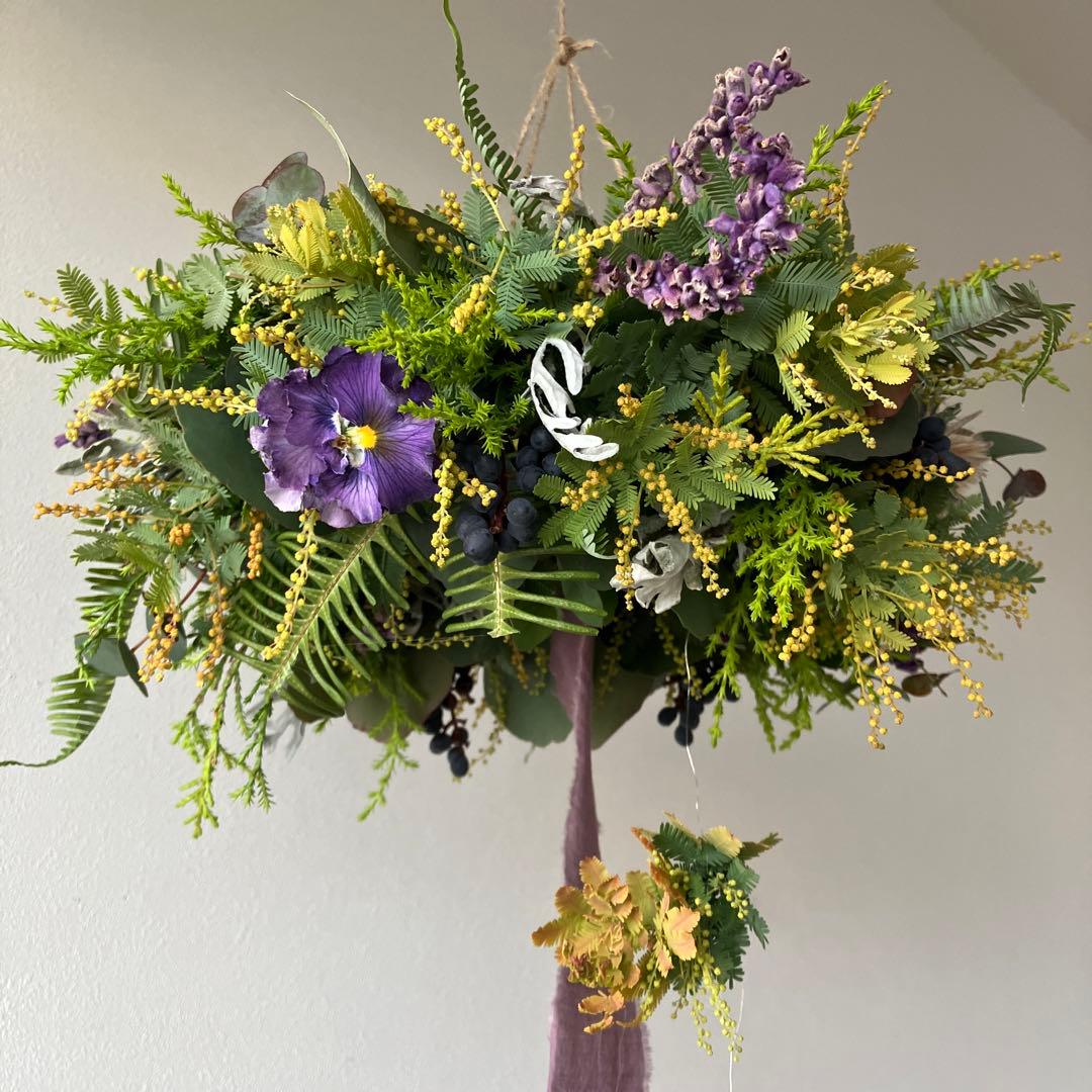 感謝SALE!オーレアミモザとプルモサムのフライングリース　ビオラ