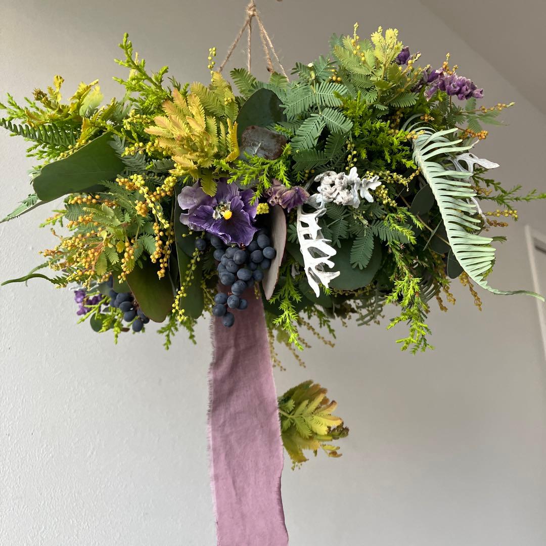 感謝SALE!オーレアミモザとプルモサムのフライングリース　ビオラ