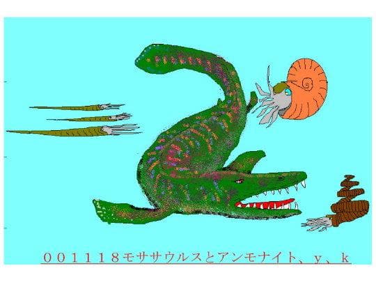 専用　化石標本　２５１２１９