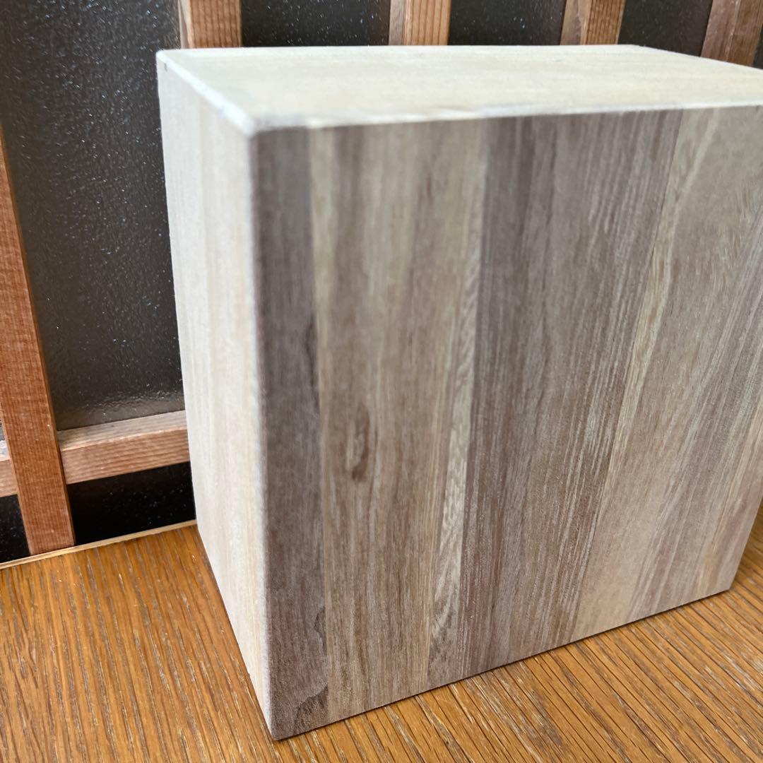 有田焼　６代　佐藤走波　染錦椿紋　飯碗✖️1点