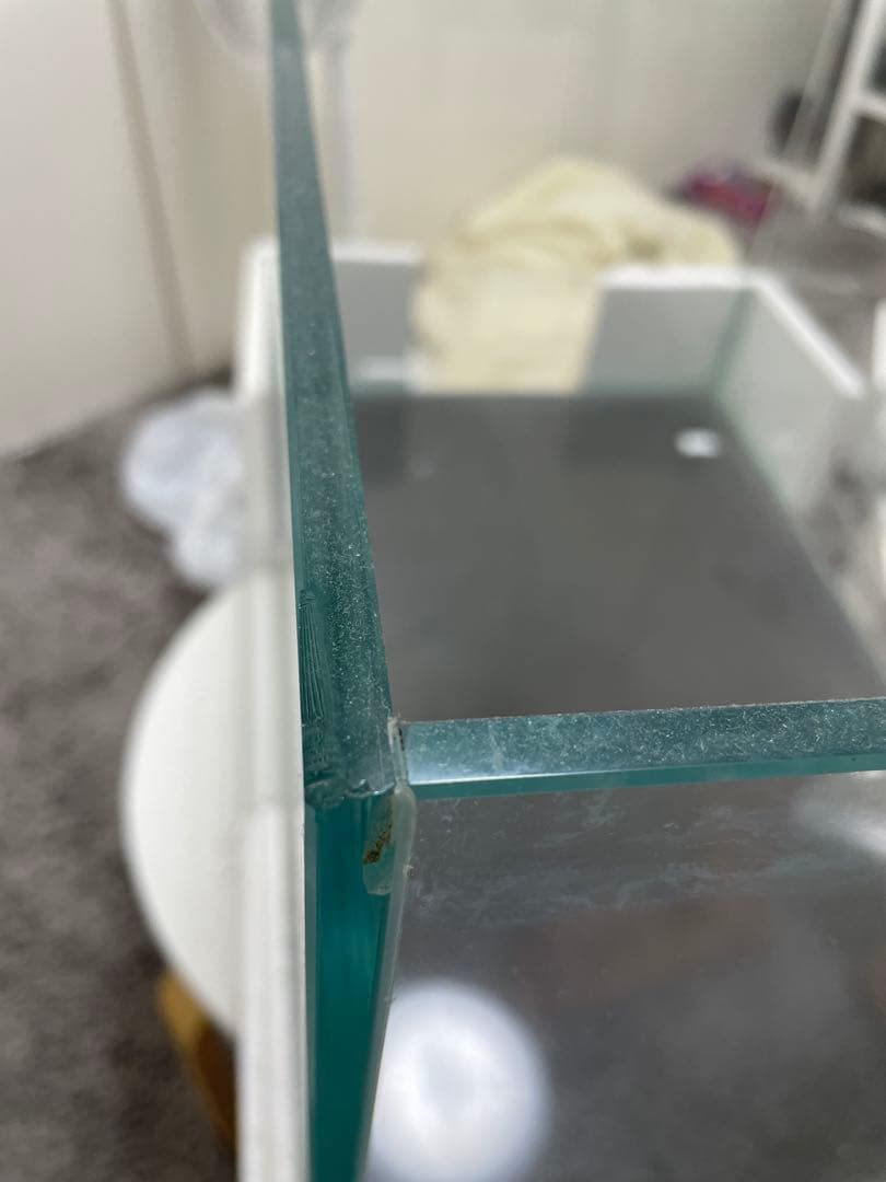 Ada 75cm キューブガーデン 水槽 引き取り