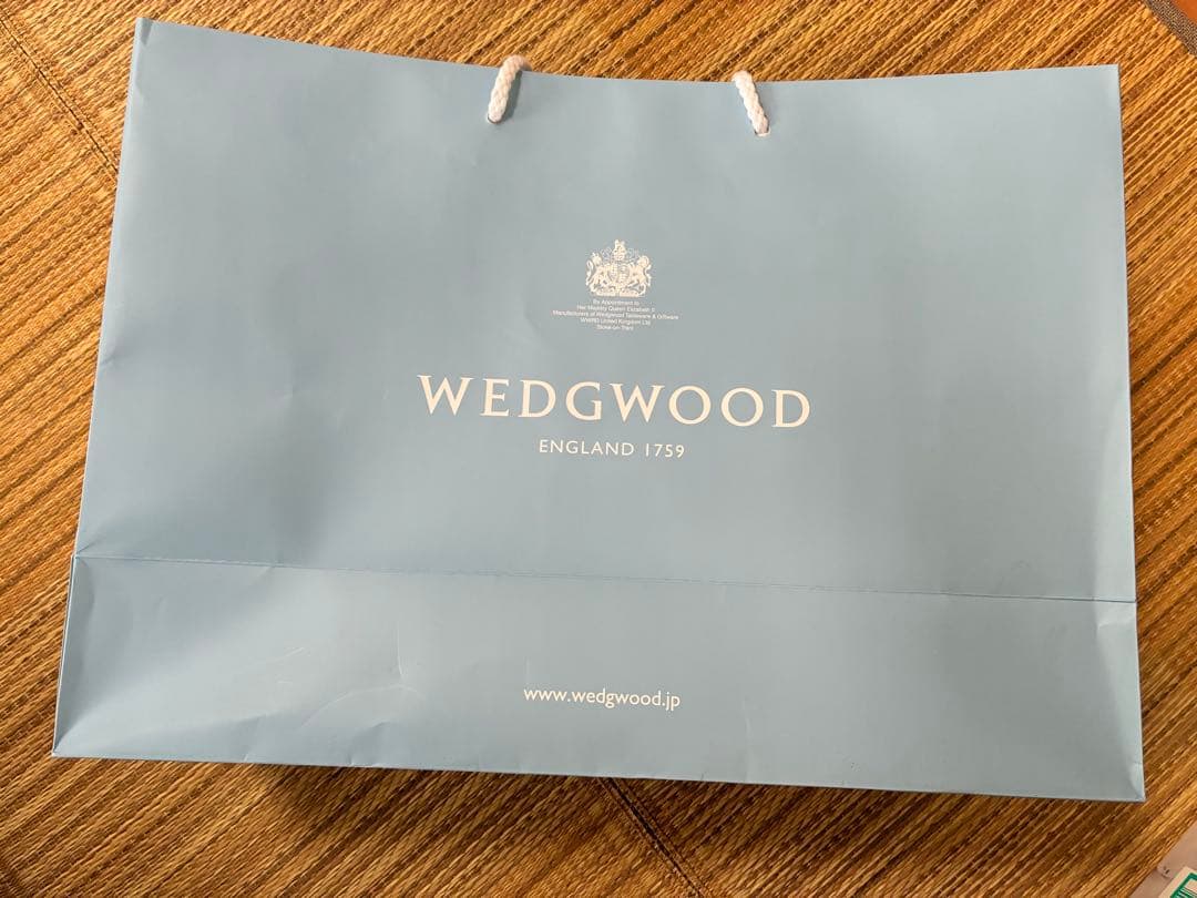 【新品未使用】 フェスティビティラズベリー ディナープレート