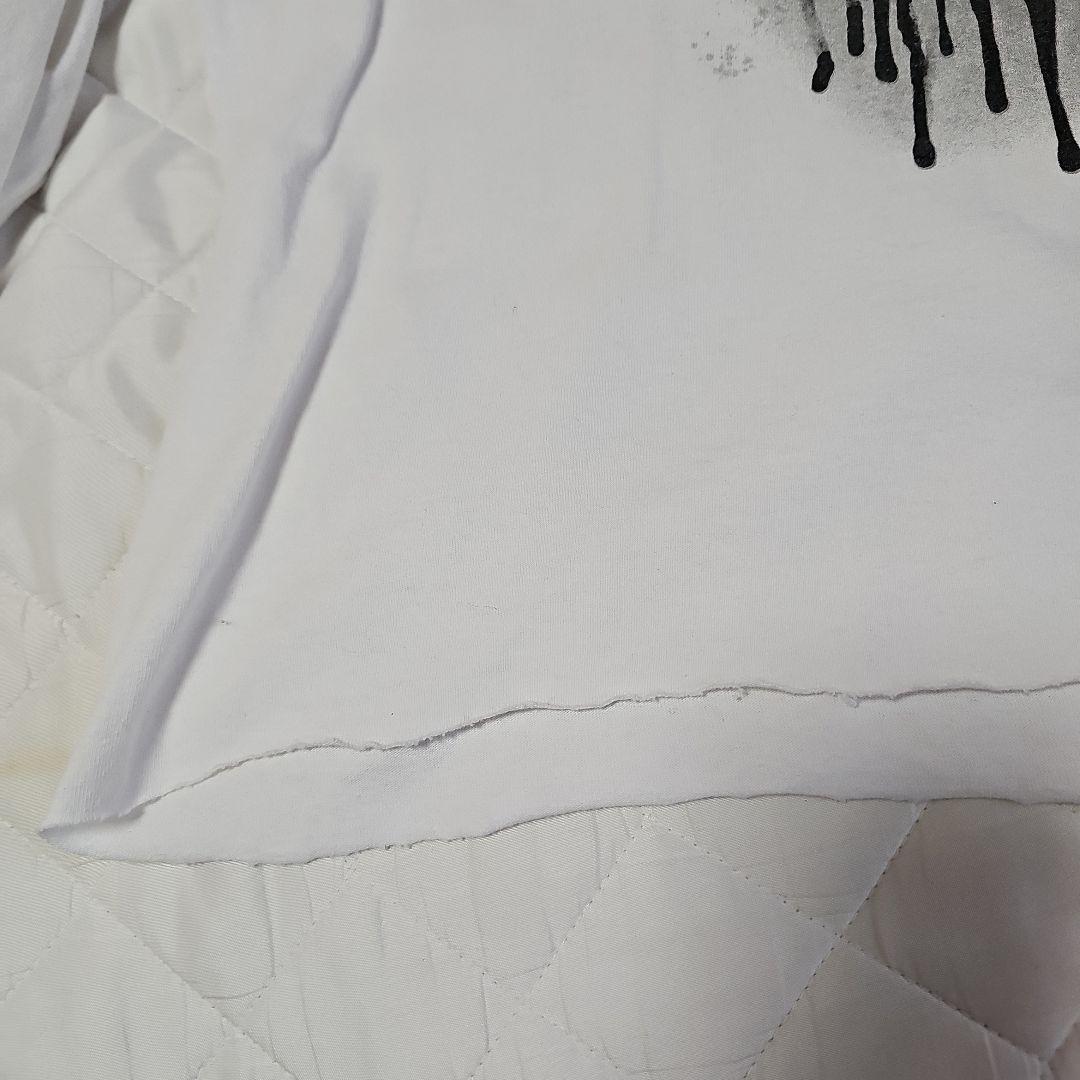 ハーレーダビットソン harley davidson ドクロフレイム 長袖ロンT