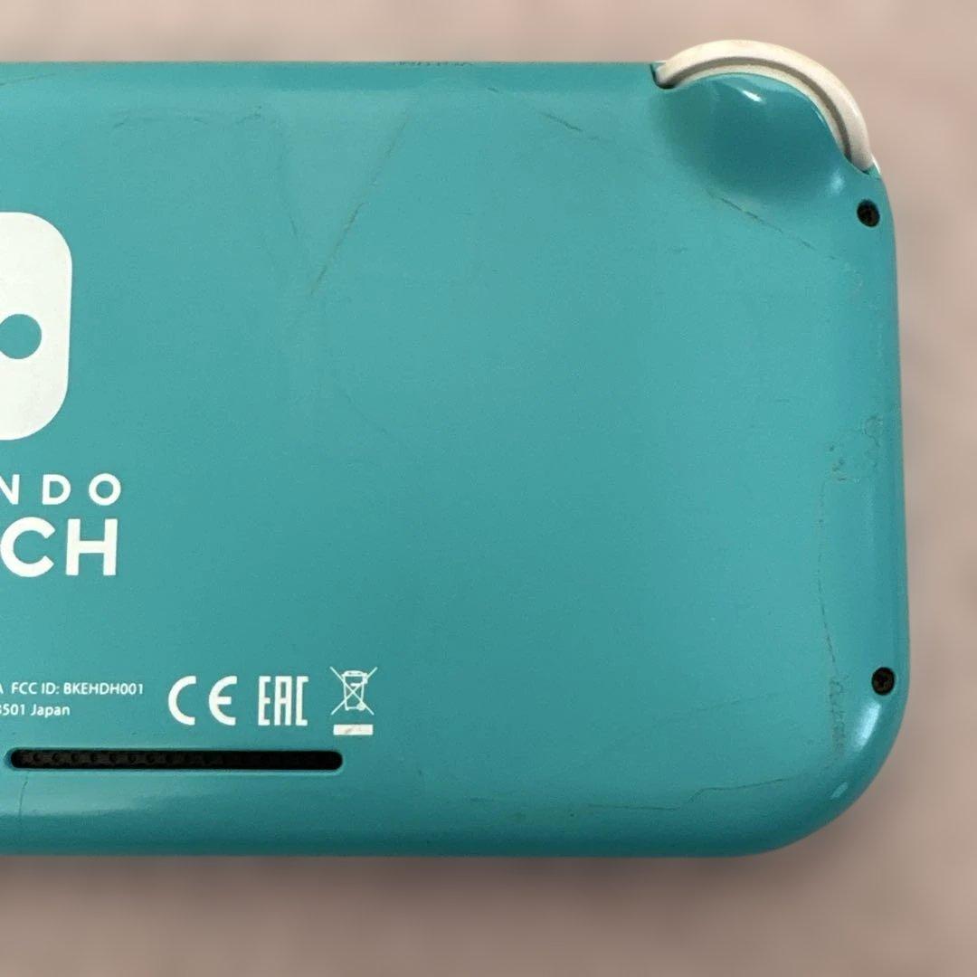 ラ*チ様 NintendoSwitch Lite 本体+カセット付