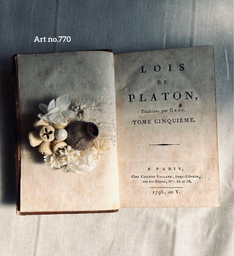 フラワー・ガーデニング corsage no.770