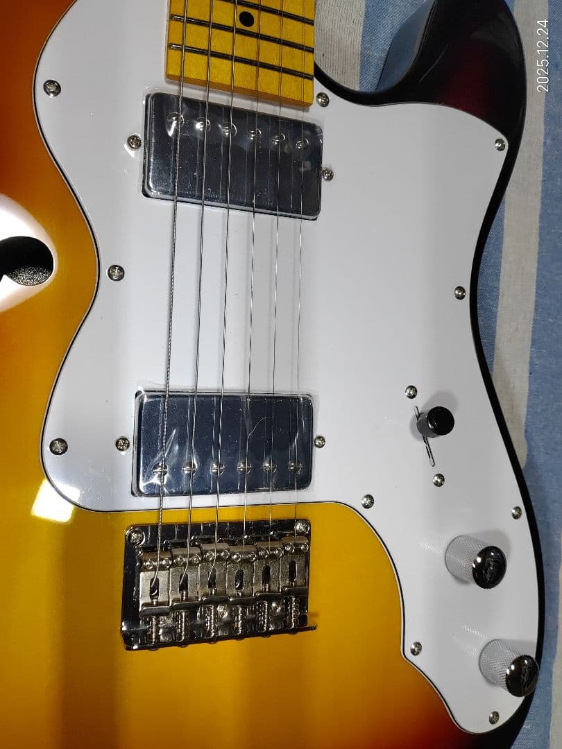 DonnerのテレキャスターThinlineタイプのDJC-1000Sほぼ未使用