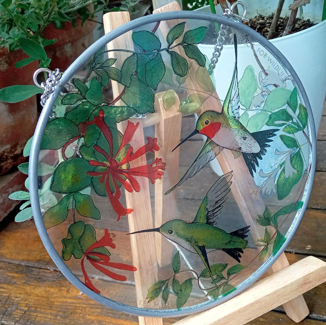 トロント・ステンドグラス Hummingbird ハミングバード ハチドリ
