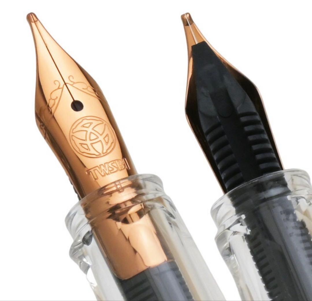 万年筆 TWSBI ツイスビー ECO エコ サーペンタイン with/BF細字