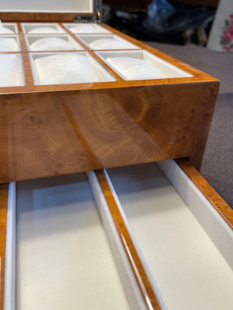 【新品】LUHW ローテンシュラガー 腕時計ケース