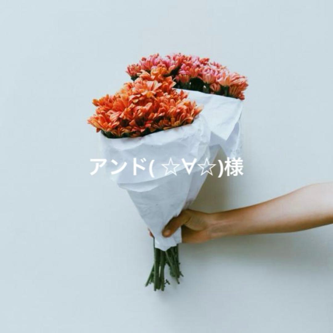 アンド( ☆∀☆)様