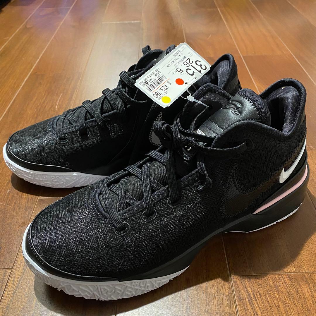 新品未使用　NIKE ZOOM LEBRON NXXT Gen EP