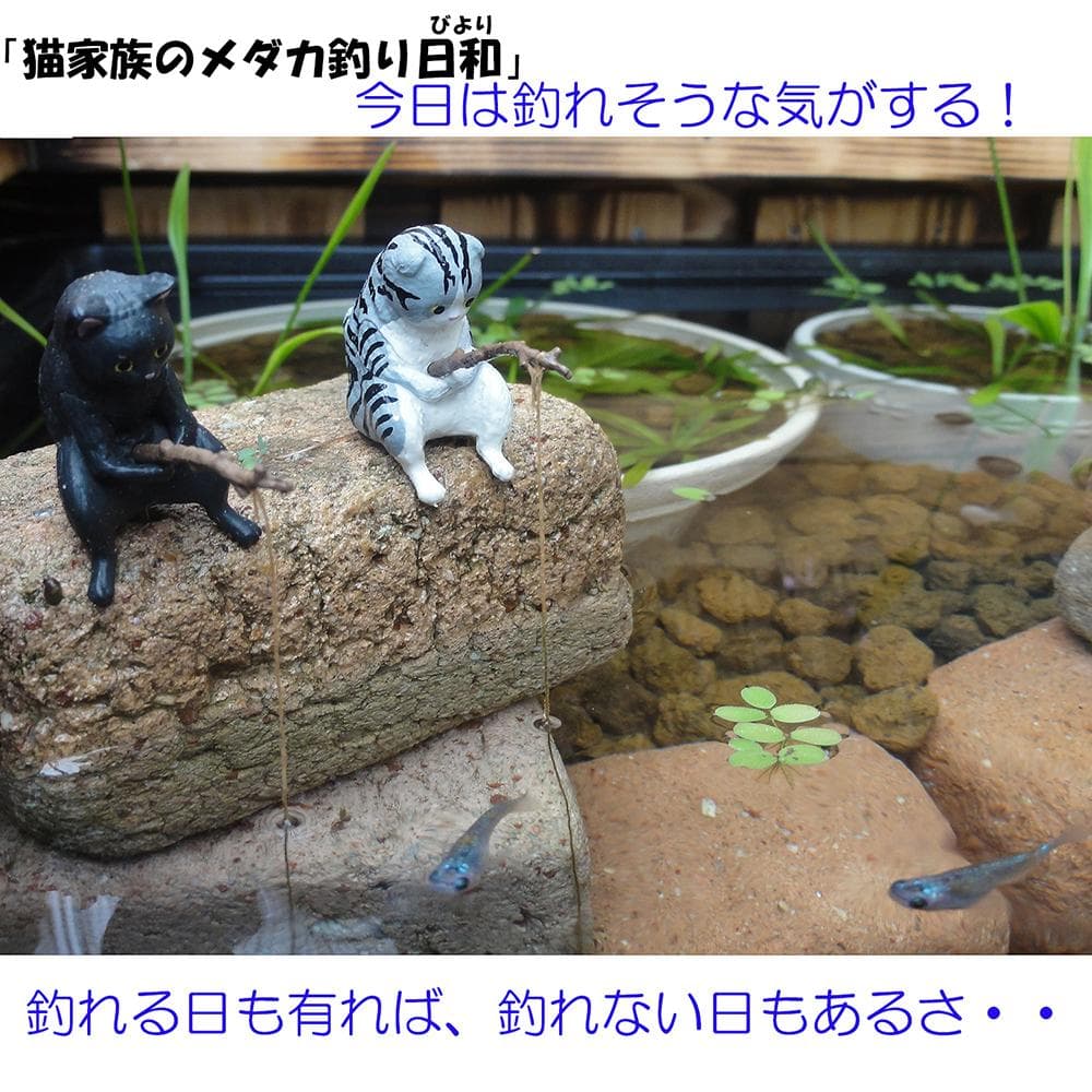 高さの有るビオトープ 80L　トロ舟＆木枠セット（3D防鳥網付き・棚付き）