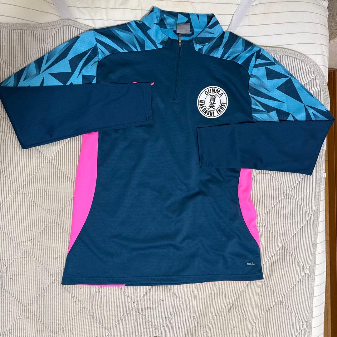 前橋育英　選手権メンバー限定