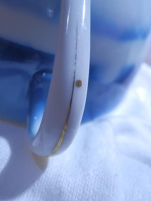 オールドノリタケ トリオ タージマハルイメージ 蜃気楼 　置き場管理 001