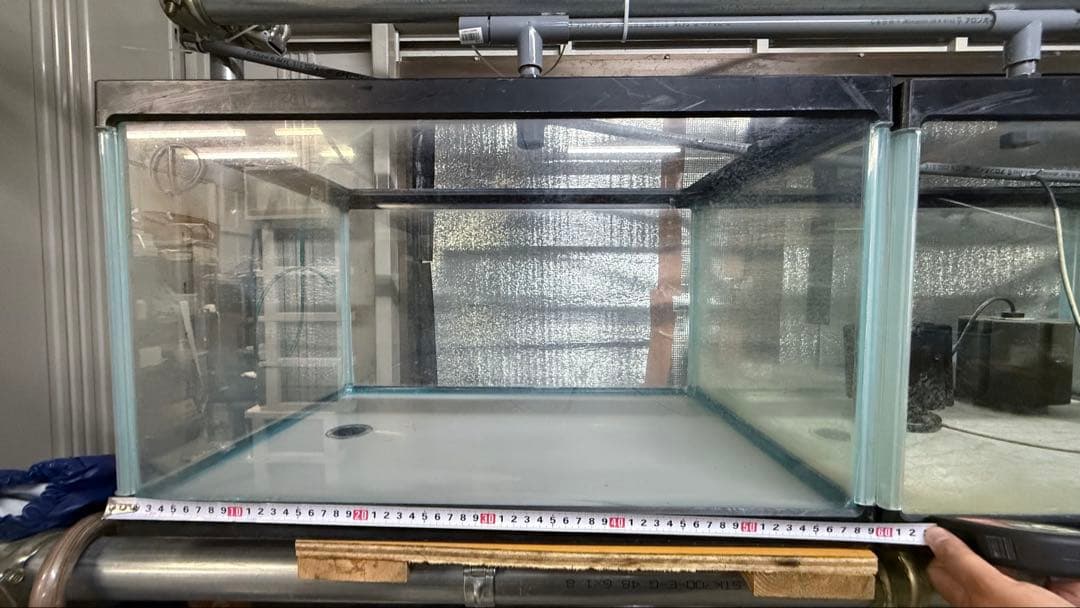 【超希少】業者用 特注大型60×40×36水槽 86L 排水バルブ付き ②