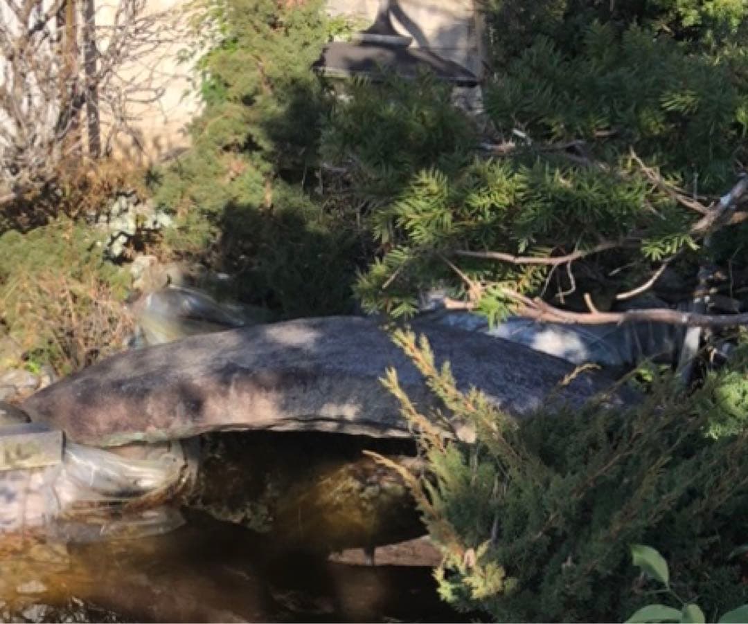 【茨城県南・引き取り限定】石 弓形橋 石橋 置物 日本庭園