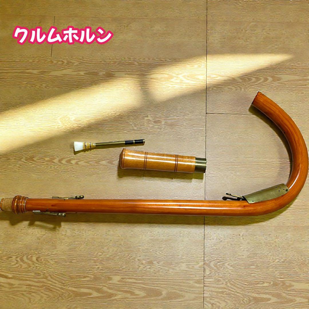 n*a様 クルムホルン　古楽器　レア　希少品　古い　木製　西洋　楽器　笛