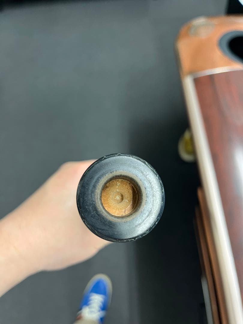 ダン　ディショウ　ラジアルピン