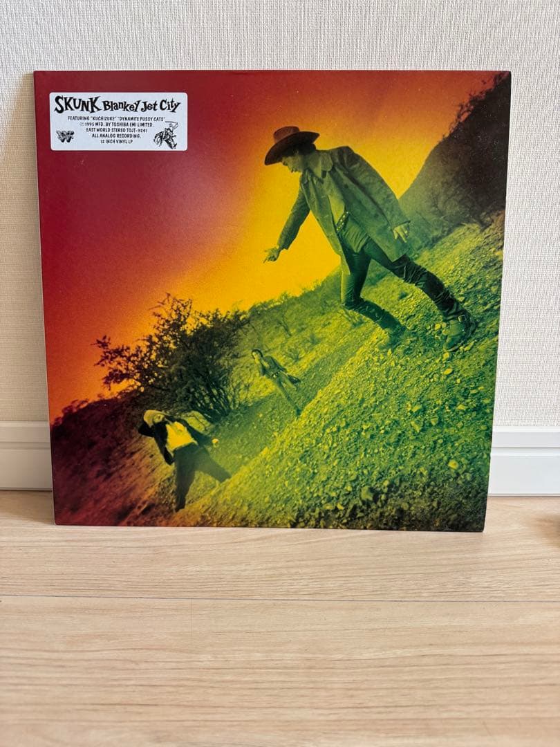 Blankey Jet City Skunk レコード ブランキージェットシティ