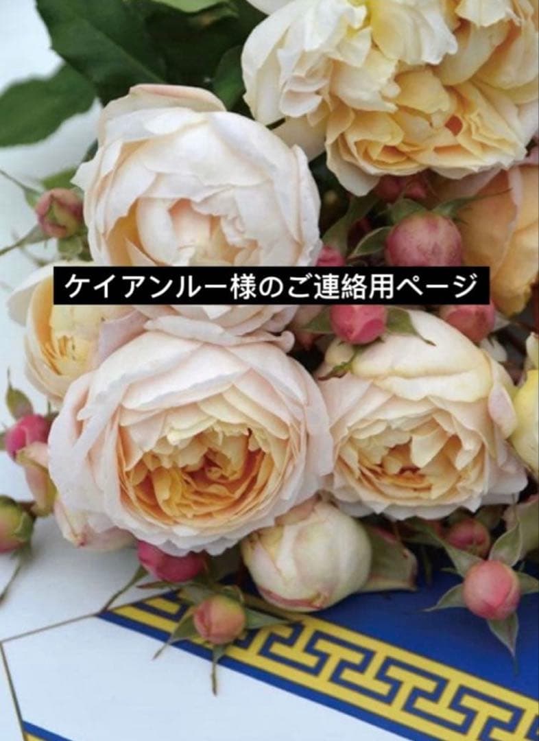 ケイアンルー様のご連絡用ページ