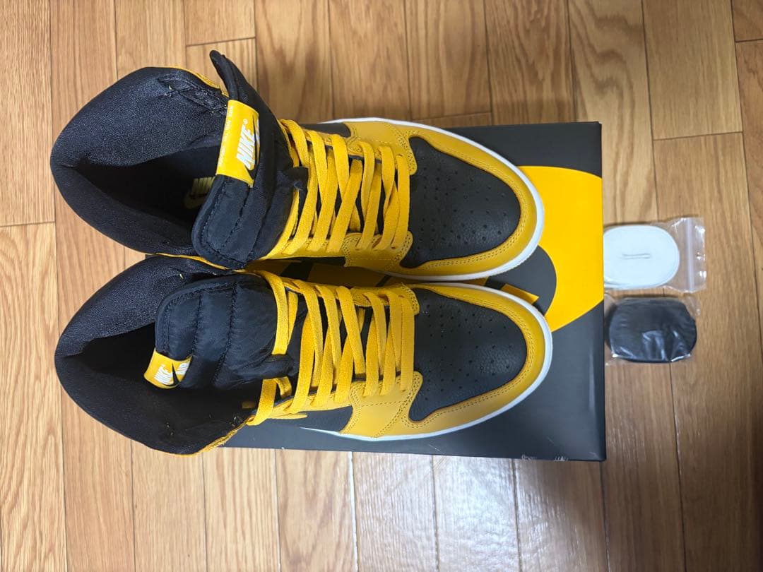 Nike Air Jordan 1 High OG Pollen 28.0㎝