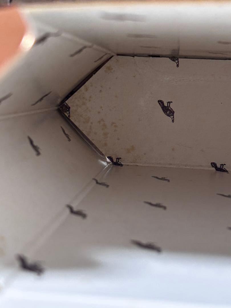 ワイルドターキー ケンタッキーレジェンド750ml 箱あり