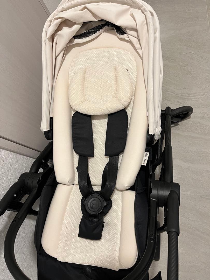 サイベックス　メリオカーボン(2023)