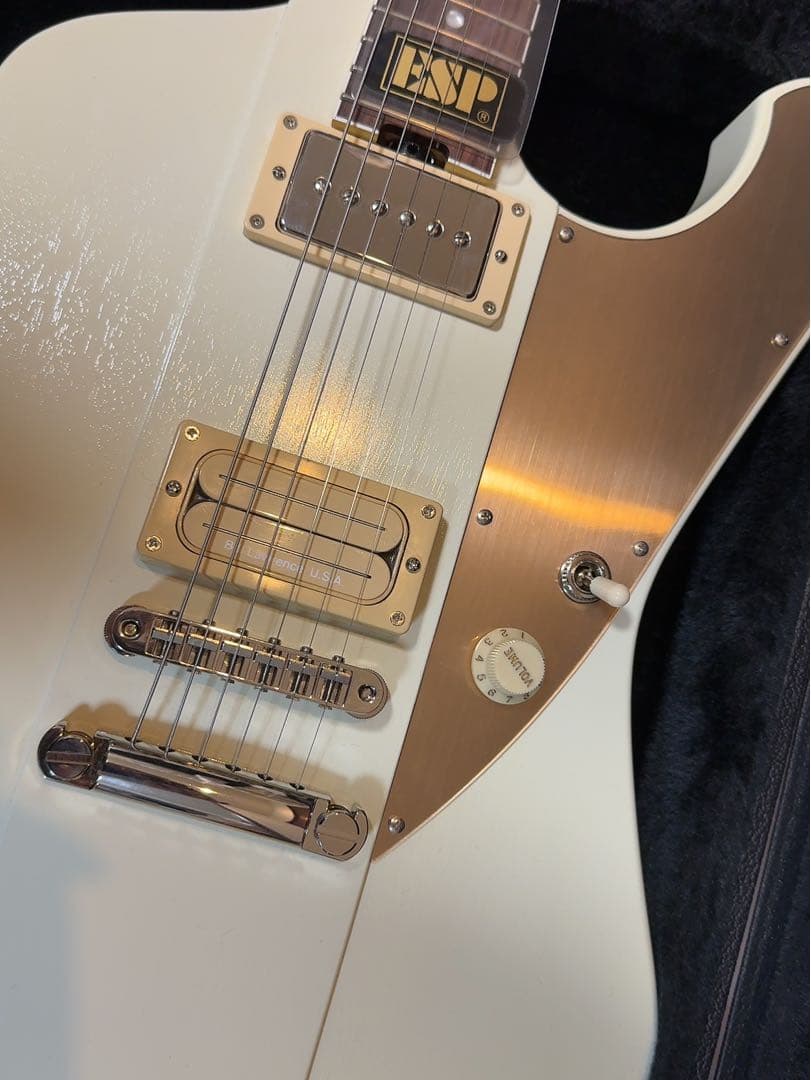 【美品】ESP Cygnus 廃盤　本人直筆サイン入り