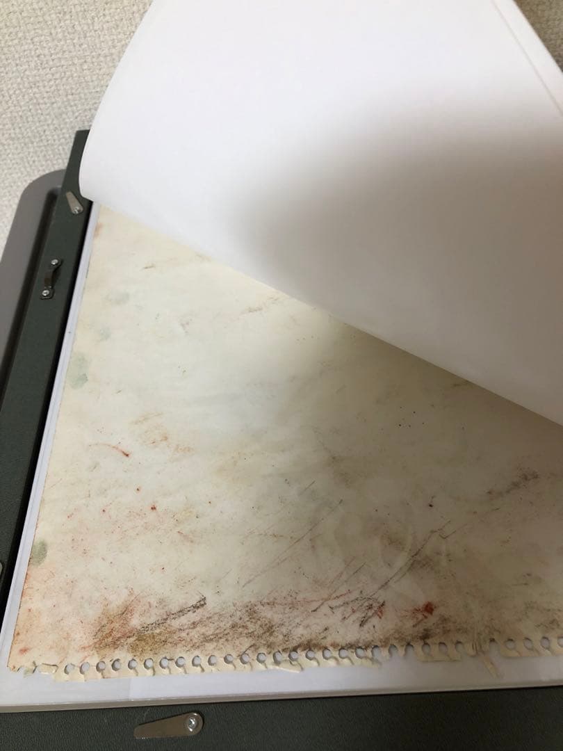 スケッチ画　（山ゆり）