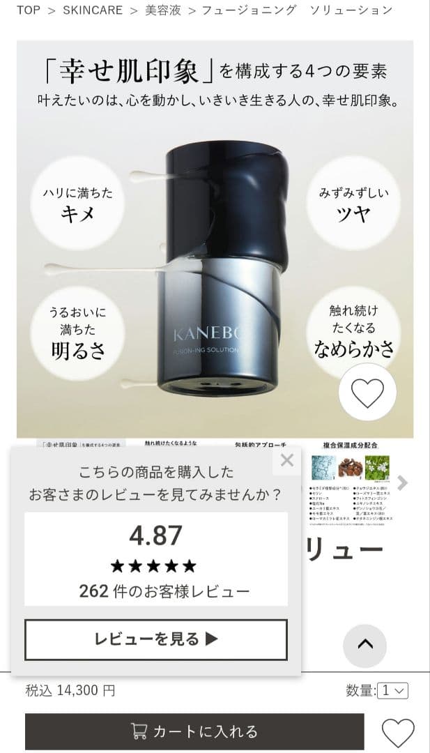 FUSION-ING SOLUTION フュージョニング ソリューション