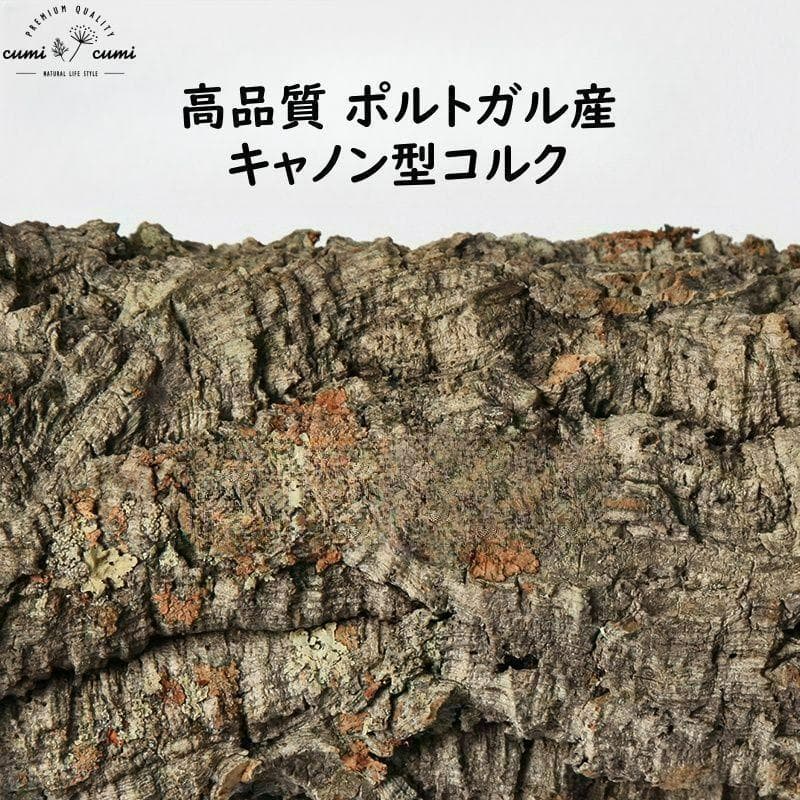 251035 ポルトガル産 キャノンコルク コルク樹皮 コルク板　バージンコルク