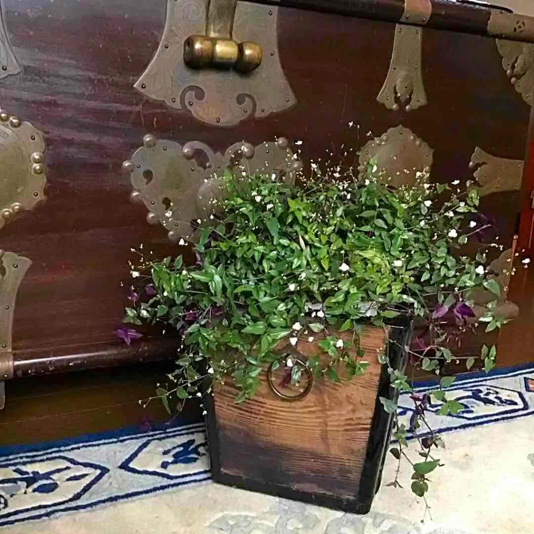 A044 アンティーク　木製　鶴瓶桶形火鉢　欅　漆　鉢カバー　小物入