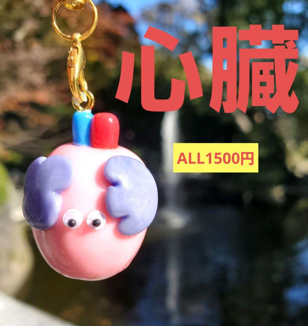 心臓　臓器　手作り　キーホルダー　看護　オペ
