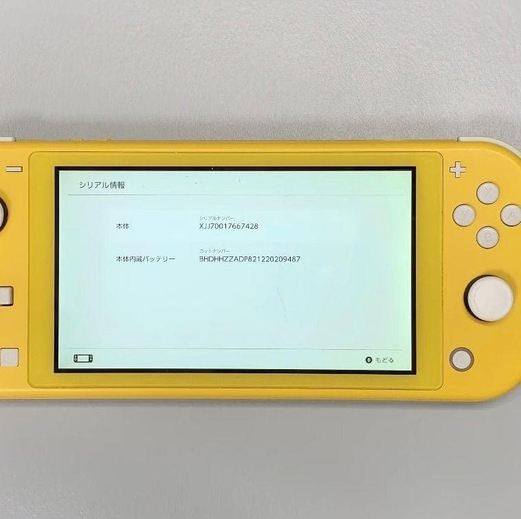 Nintendo Switch Lite 本体 動作品