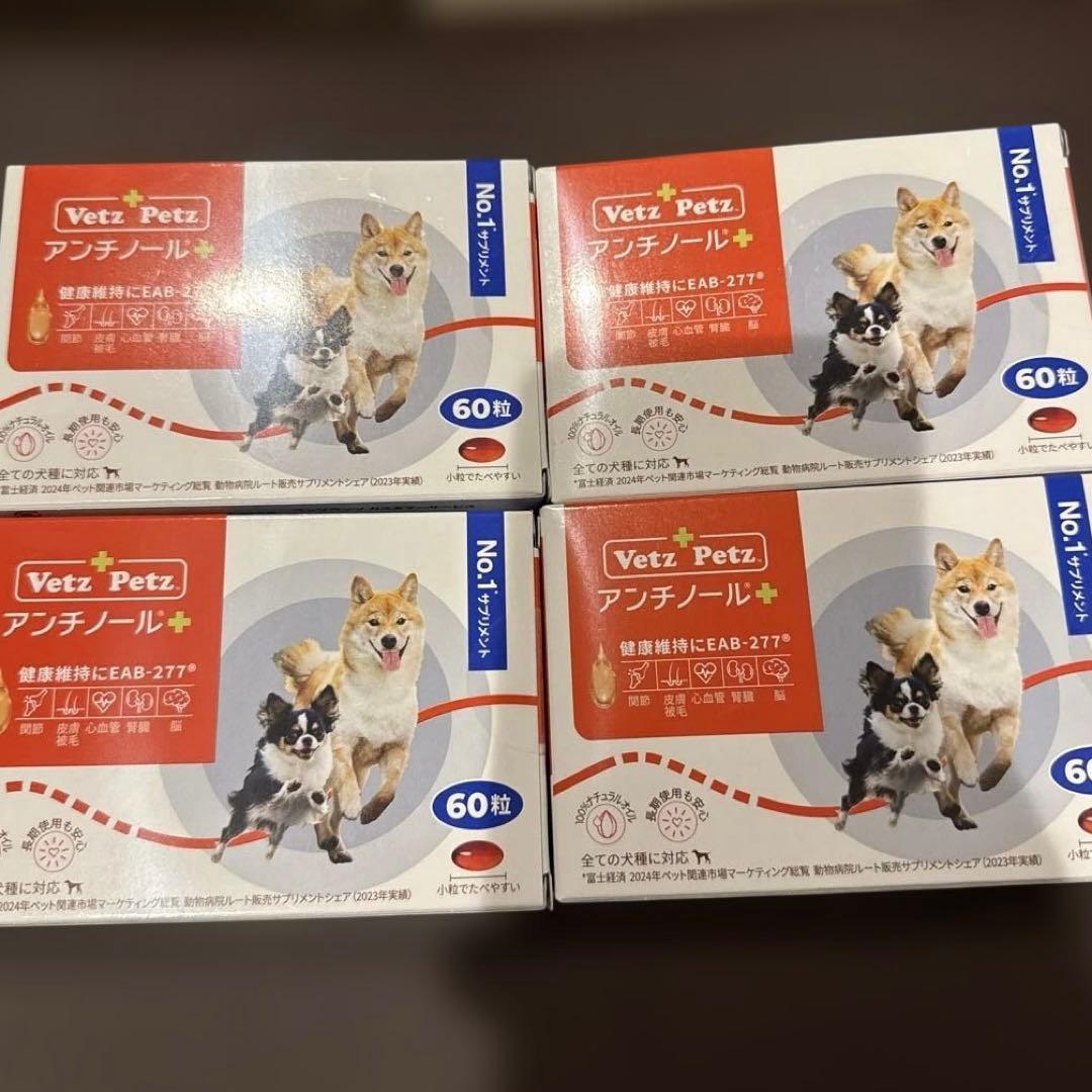 アンチノールプラス60粒4箱