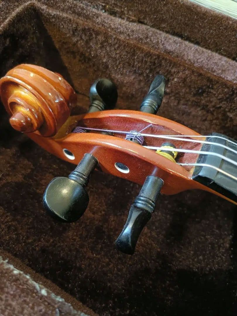 Carlo giordano ヴァイオリン1/2サイズ 2017年製 VS-1