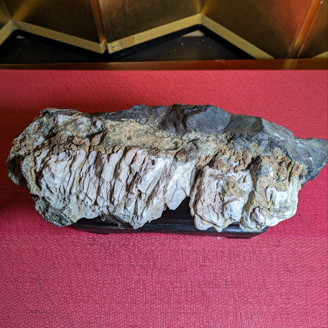 菊花石 岐阜県根尾谷産3.2㌔ 鑑賞石 観賞石 水石 盆石 天然石