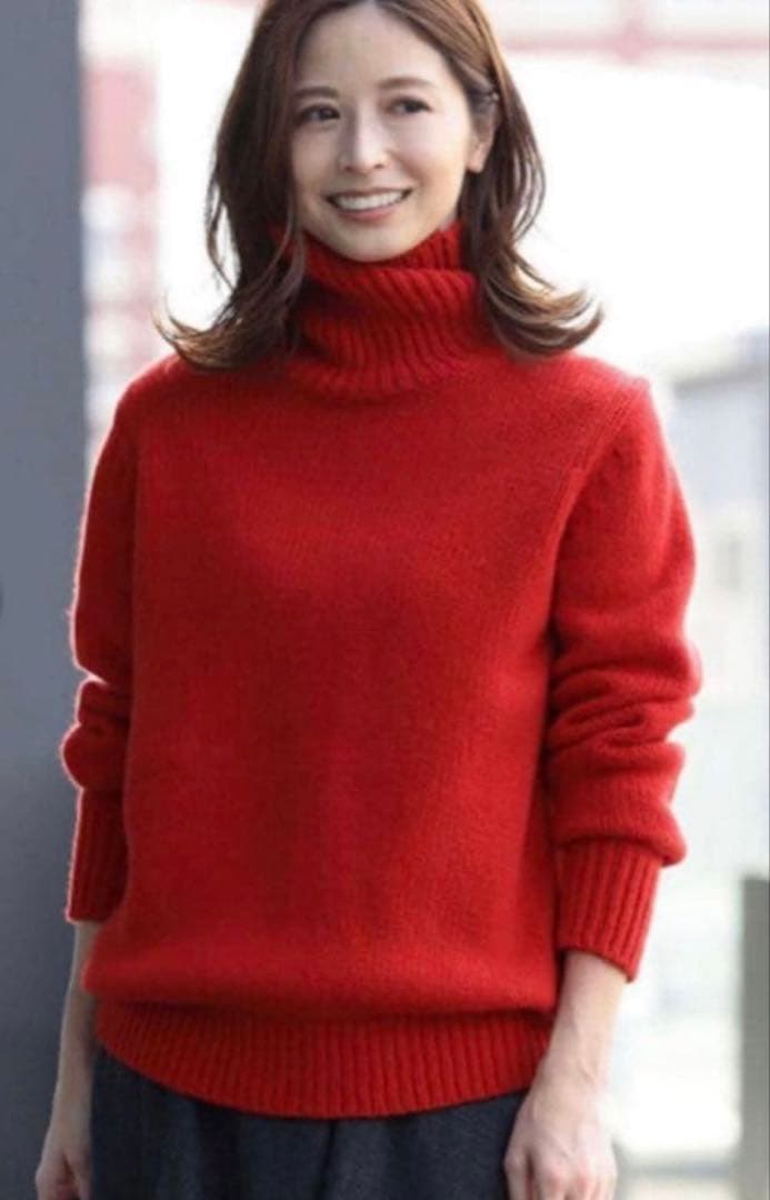 Demi-Luxe BEAMS ローゲージタートルネック ニット　カシミヤ混