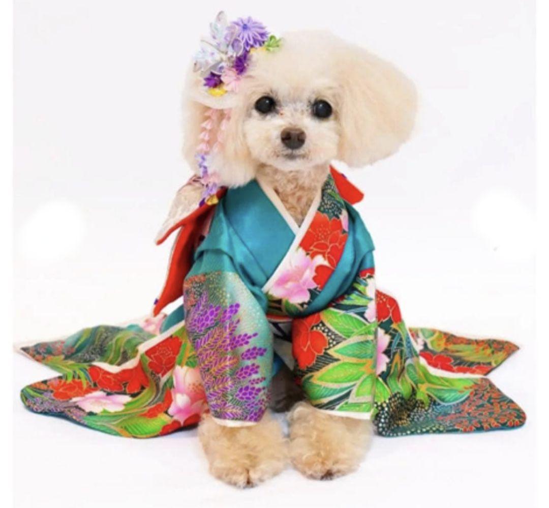 犬用 大振袖 花柄 和服