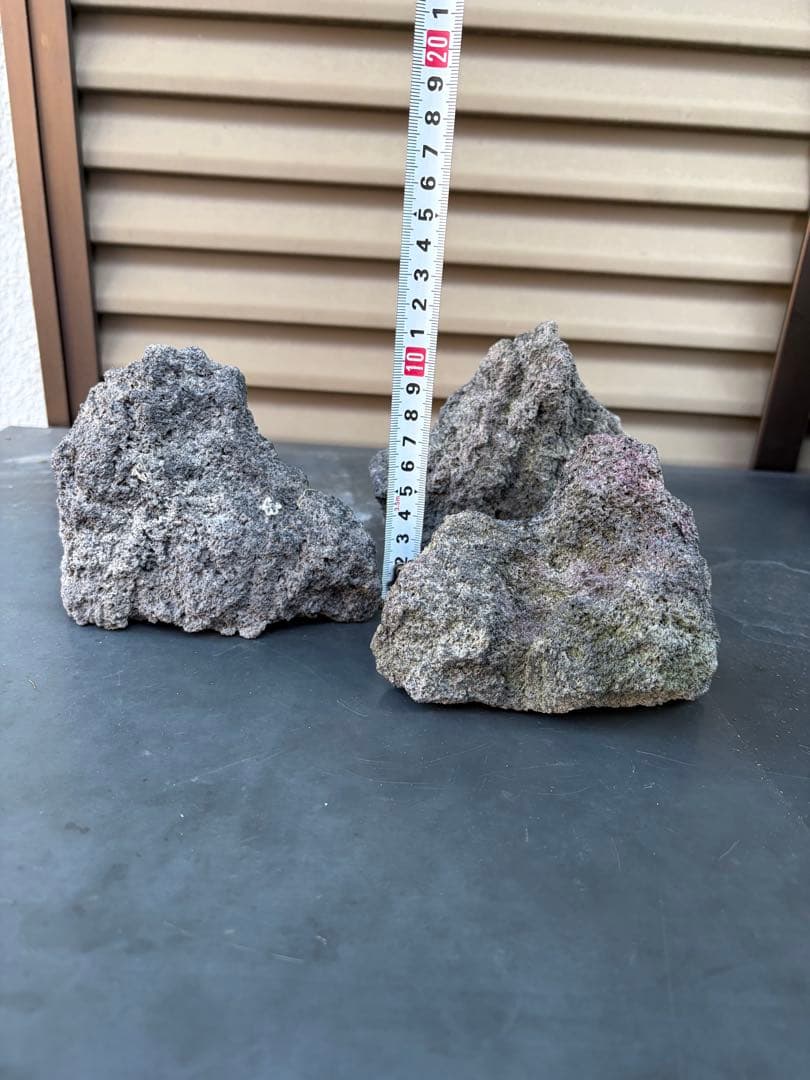 ADA雲山石5個セット