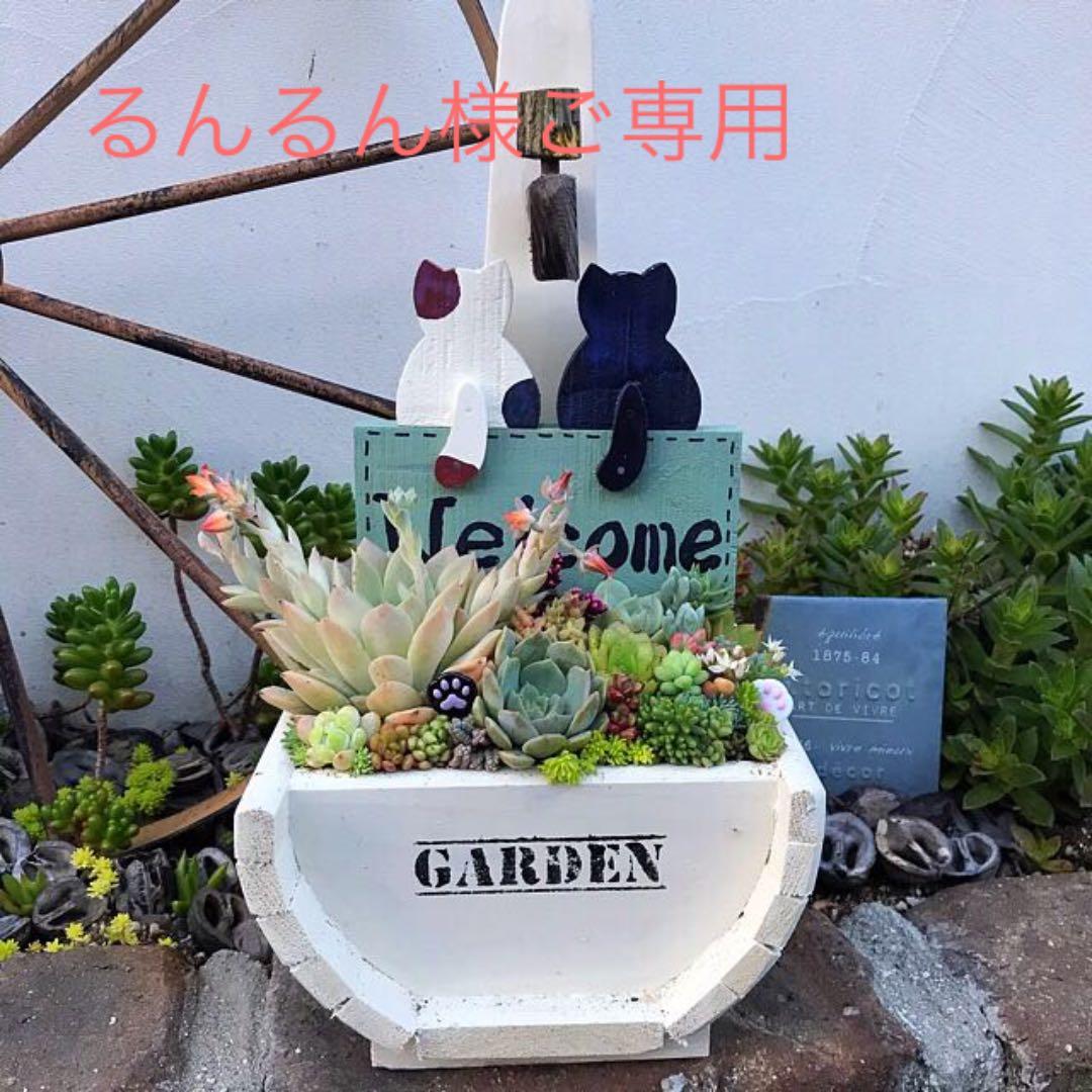 ★多肉植物　寄せ植え〜ねこちゃんの手作り水栓プランター〜★