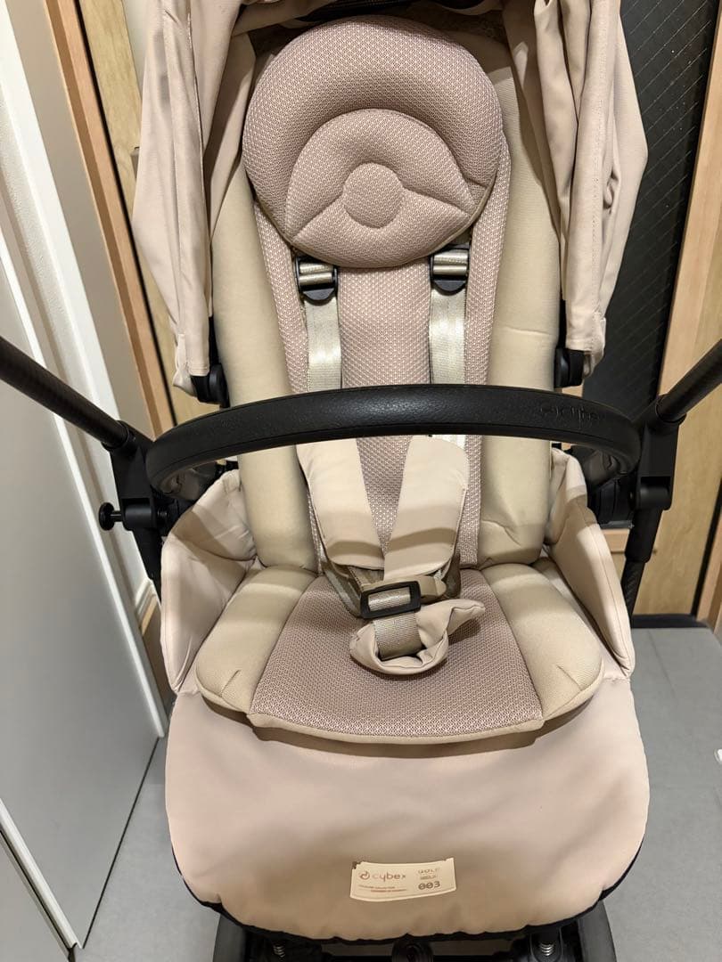 メリオカーボン　2022 ベージュ　サイベックス