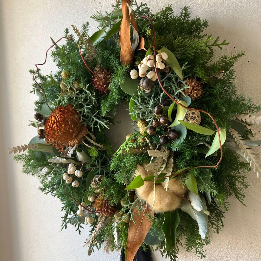 30㎝　ドライアンドラとコットンの大人ブラウンクリスマスリース　グレビレア