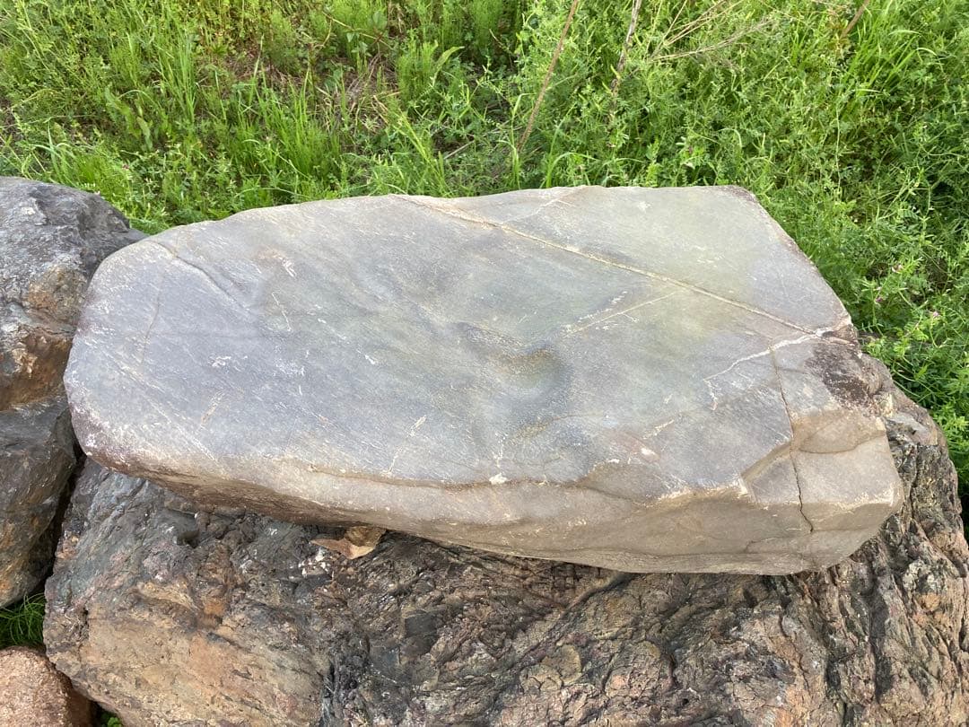 瀬田川石　銀梨地　沓石　捨石　景石